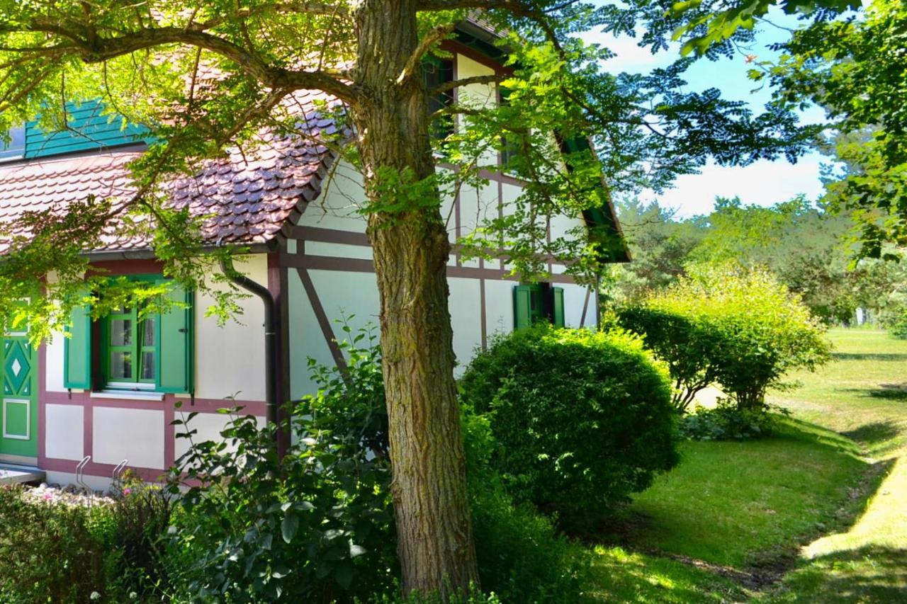 Strandnahe Ferienwohnung Rügen Dranske Exterior foto